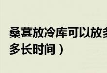 桑葚放冷庫(kù)可以放多久（桑葚放冷凍可以保存多長(zhǎng)時(shí)間）