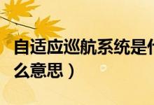自適應(yīng)巡航系統(tǒng)是什么（自適應(yīng)巡航系統(tǒng)是什么意思）