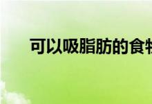 可以吸脂肪的食物（可以吸脂減肥嗎）