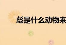 彪是什么動(dòng)物來歷（彪是什么動(dòng)物）