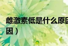 雌激素低是什么原因導致（雌激素低是什么原因）