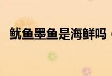 魷魚(yú)墨魚(yú)是海鮮嗎（魷魚(yú)墨魚(yú)屬于海鮮嗎）