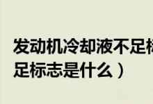 發(fā)動機冷卻液不足標志圖片（發(fā)動機冷卻液不足標志是什么）