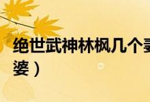 絕世武神林楓幾個妻子（絕世武神林楓幾個老婆）