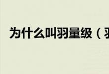 為什么叫羽量級（羽量級社交是什么意思）