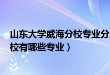 山東大學(xué)威海分校專業(yè)分?jǐn)?shù)線2020（2022山東大學(xué)威海分校有哪些專業(yè)）