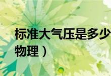 標準大氣壓是多少帕（標準大氣壓是多少pa物理）