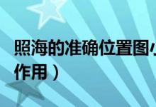 照海的準確位置圖小兒（照海的準確位置圖和作用）