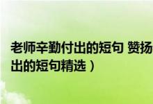 老師辛勤付出的短句 贊揚老師辛勤的句子（關(guān)于老師辛勤付出的短句精選）
