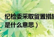 紀(jì)檢委采取留置措施是什么意思（紀(jì)檢委留置是什么意思）