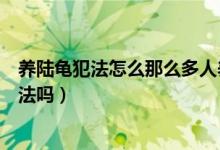 養(yǎng)陸龜犯法怎么那么多人養(yǎng)（養(yǎng)陸龜犯法嗎養(yǎng)蘇卡達陸龜犯法嗎）