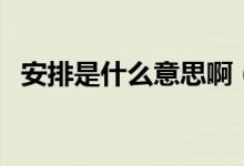 安排是什么意思?。ò才攀鞘裁匆馑季W(wǎng)絡）