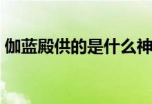 伽藍殿供的是什么神（伽藍殿供的是什么神）