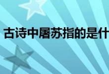 古詩中屠蘇指的是什么（古詩中屠蘇的意思）