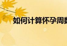 如何計(jì)算懷孕周數(shù)（如何計(jì)算排卵期）