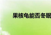 果核龜能否冬眠（果核龜能長多大）