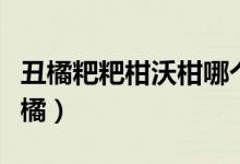 丑橘粑粑柑沃柑哪個不上火（粑粑桔是不是丑橘）