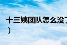 十三姨團隊怎么沒了（十三姨團隊怎么不在了）