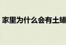 家里為什么會(huì)有土蝽（家里為什么會(huì)有蚰蜒）