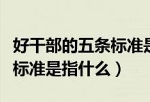好干部的五條標準是信念堅定（好干部的五條標準是指什么）