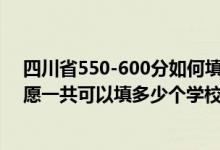 四川省550-600分如何填報(bào)志愿（2022年四川高考?？浦驹敢还部梢蕴疃嗌賯€學(xué)校）