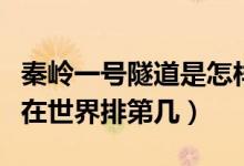 秦嶺一號隧道是怎樣建成的（秦嶺終南山隧道在世界排第幾）