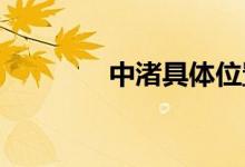 中渚具體位置、作用有哪些