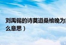 劉禹錫的詩(shī)莫道桑榆晚為霞尚滿天什么意思（為霞尚滿天什么意思）