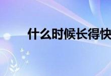 什么時(shí)候長(zhǎng)得快（什么時(shí)候長(zhǎng)智齒）