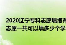 2020遼寧專科志愿填報(bào)有多少院校（2022年遼寧高考?？浦驹敢还部梢蕴疃嗌賯€(gè)學(xué)校）