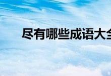 盡有哪些成語大全（盡的成語有哪些）