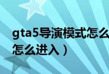 gta5導(dǎo)演模式怎么進入室內(nèi)（gta5導(dǎo)演模式怎么進入）