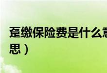 躉繳保險(xiǎn)費(fèi)是什么意思（躉繳保險(xiǎn)費(fèi)是什么意思）