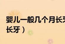 嬰兒一般幾個月長牙齒正常（嬰兒一般幾個月長牙）