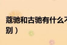 蔻馳和古馳有什么不同（蔻馳和古馳有什么區(qū)別）