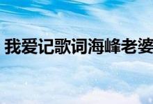 我愛記歌詞海峰老婆（我愛記歌詞海峰介紹）