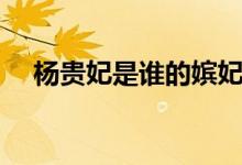 楊貴妃是誰(shuí)的嬪妃（楊貴妃是誰(shuí)的老婆）
