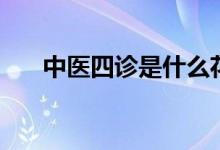 中醫(yī)四診是什么花（中醫(yī)四診是什么）