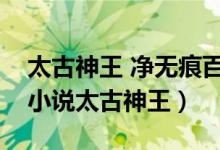 太古神王 凈無痕百度百科（如何評(píng)價(jià)凈無痕小說太古神王）