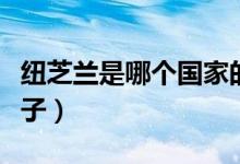 紐芝蘭是哪個國家的牌子（紐芝蘭是哪國的牌子）