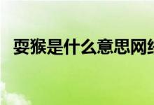耍猴是什么意思網(wǎng)絡(luò)語（耍猴是什么意思）