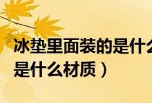 冰墊里面裝的是什么東西（一般冰墊里面裝的是什么材質(zhì)）
