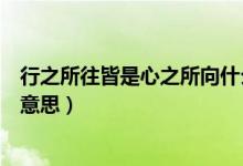 行之所往皆是心之所向什么意思（心之所向行之所往是什么意思）