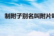 制附子別名叫附片嗎（制附子別名叫什么）