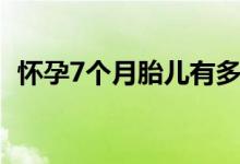 懷孕7個月胎兒有多大（懷孕7個月的癥狀）