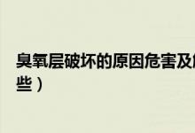 臭氧層破壞的原因危害及解決措施（臭氧層破壞的原因有哪些）