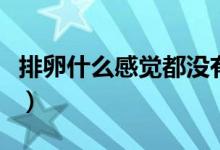 排卵什么感覺都沒有怎么回事（排卵什么感覺）