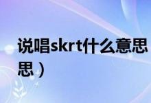說(shuō)唱skrt什么意思（中國(guó)新說(shuō)唱skr是什么意思）