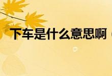 下車是什么意思?。ㄖ型鞠萝囀鞘裁匆馑迹?class=
