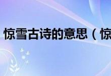 驚雪古詩的意思（驚雪這個詞語是什么意思）